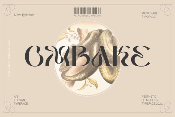 Ombake Font: Elevating Campaign Visuals with Curly Display Type