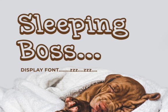 Sleeping Boss Font: Modern Branding for Small Business